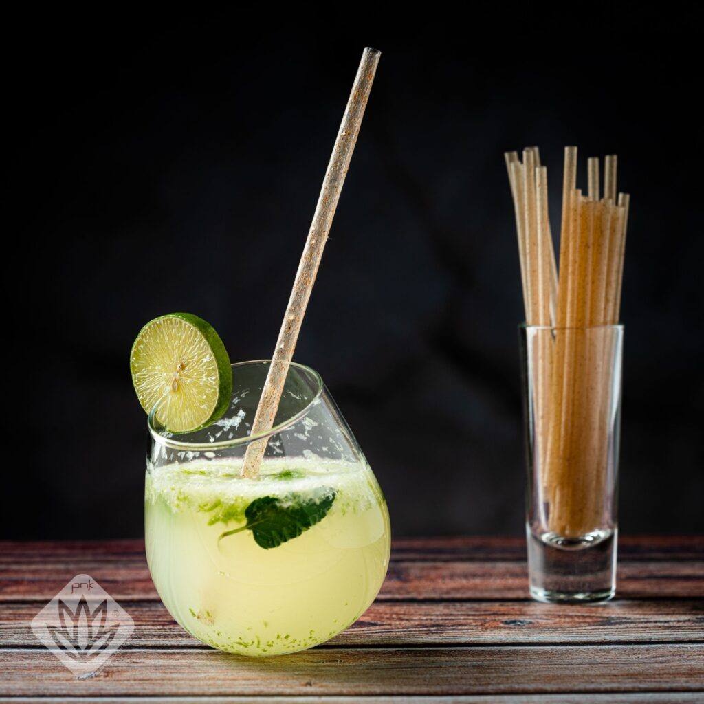 Premium Agave Fibre Biodegradable Straw - (Box of 150) - TopShelfTequila.com.au